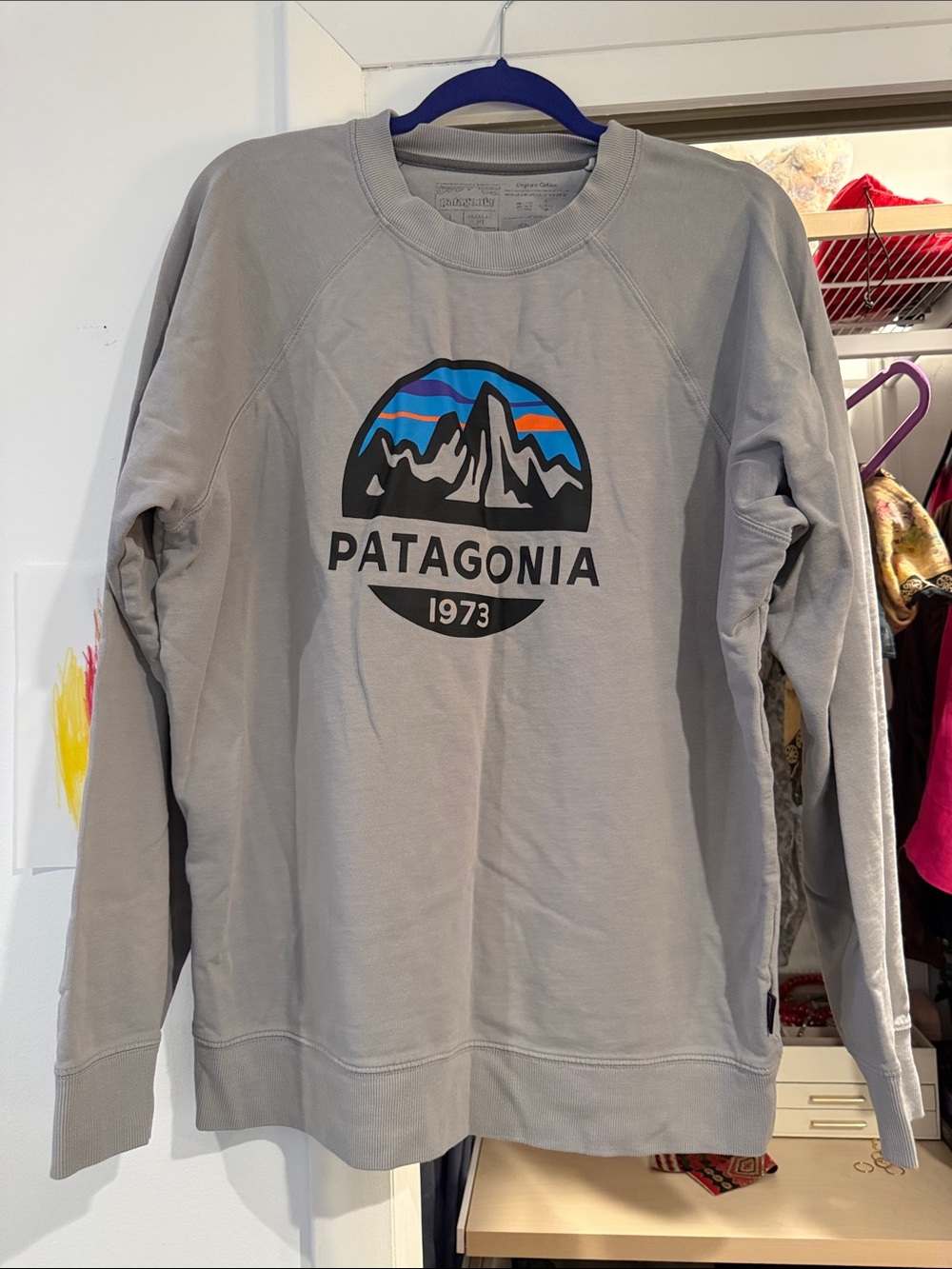 Mens Patagonia Sweatshirt